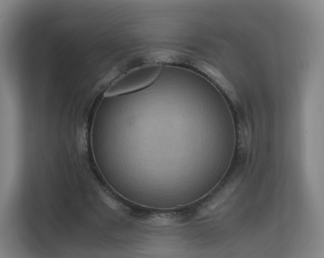 X0000110990489200906261452