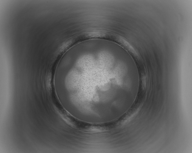 X0000110990490200906261452