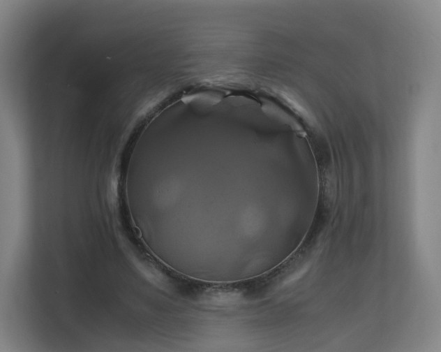 X0000110990491200906261452
