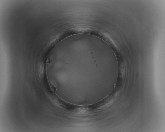 X0000110990495200906261452