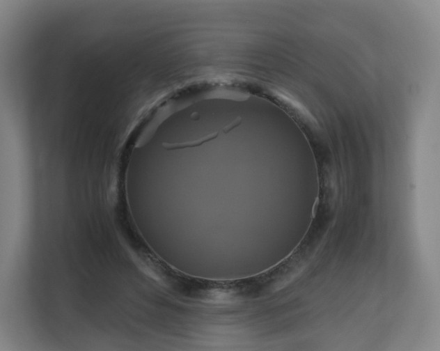 X0000110990496200906261452