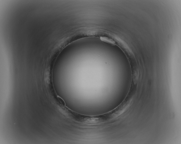 X0000110990497200906261452
