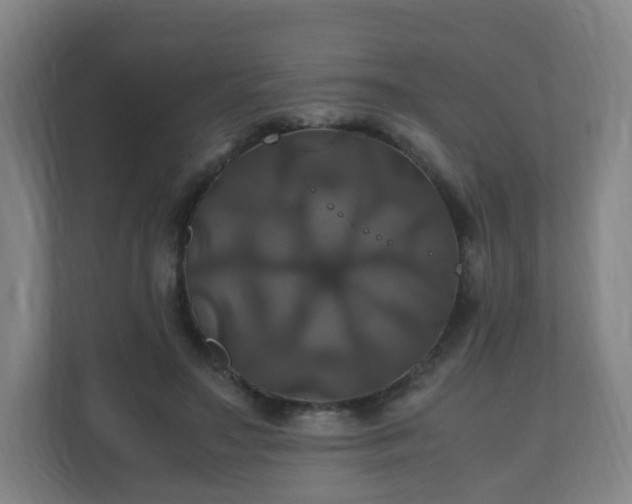 X0000110990499200906261452
