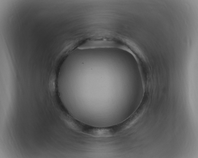 X0000110990501200906261452