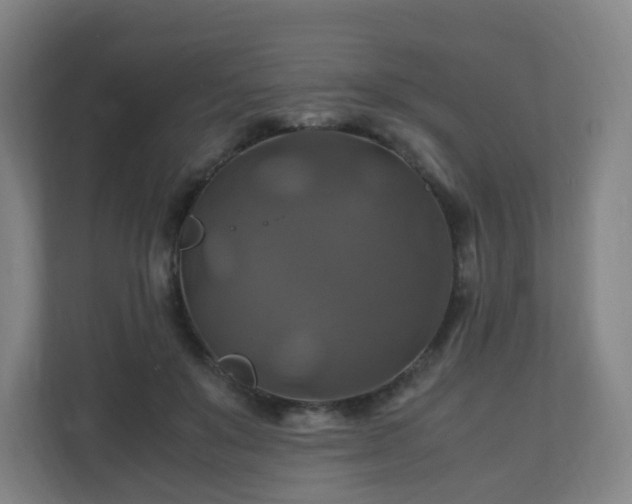 X0000110990503200906261452