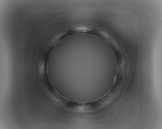 X0000110990504200906261452