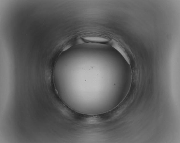 X0000110990505200906261452