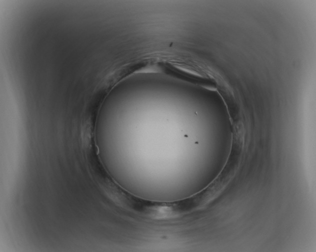 X0000110990509200906261452