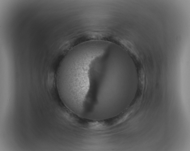 X0000110990511200906261452