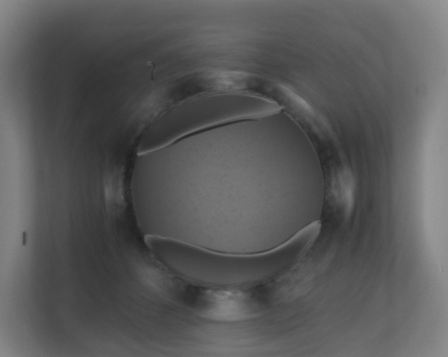 X0000110990512200906261452