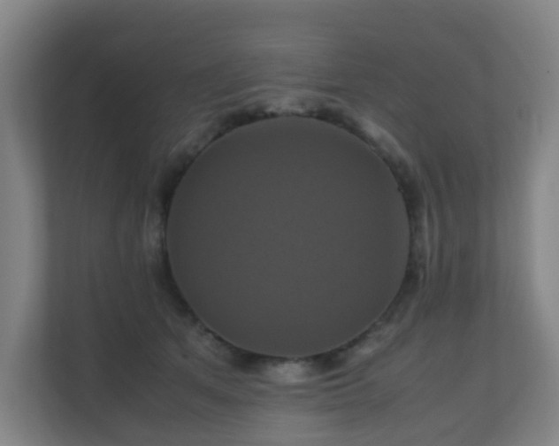 X0000110990513200906261452