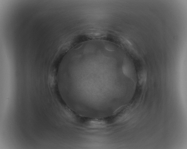 X0000110990515200906261452