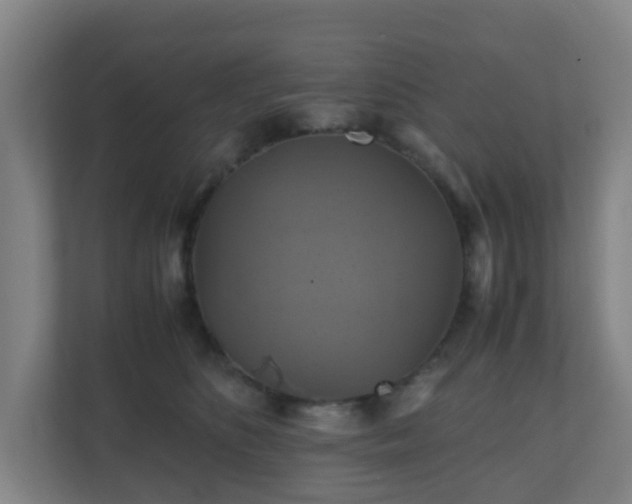 X0000110990516200906261452