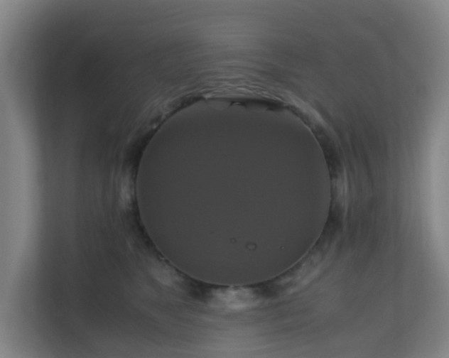X0000110990517200906261452