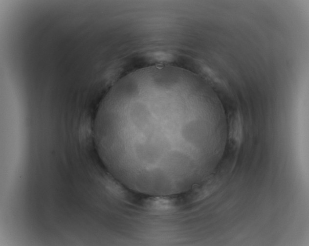 X0000110990518200906261452