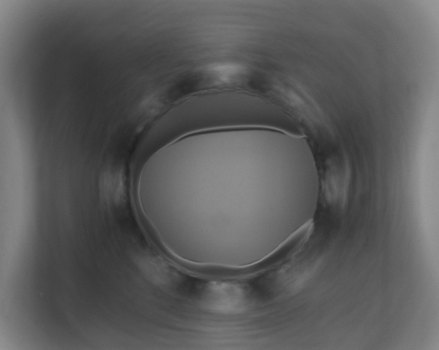 X0000110990520200906261452
