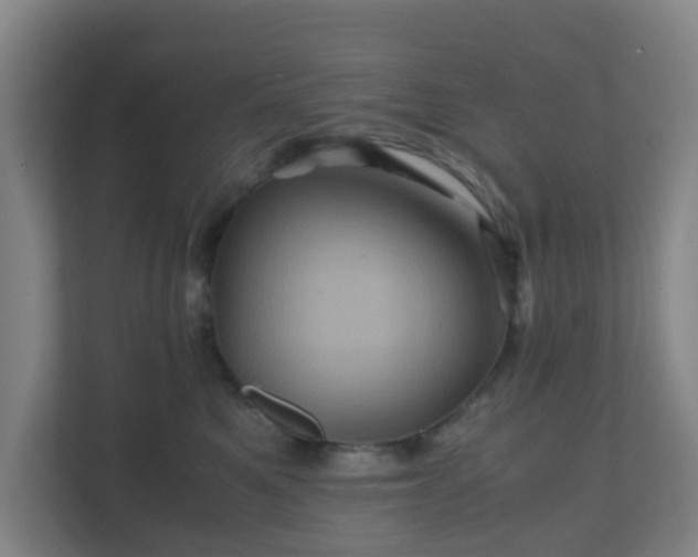 X0000110990521200906261452