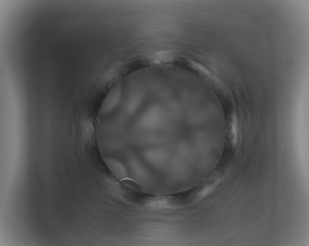 X0000110990523200906261452