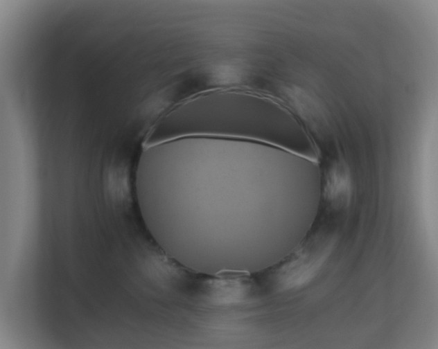 X0000110990524200906261452