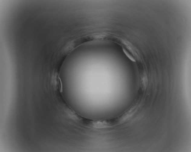 X0000110990525200906261452