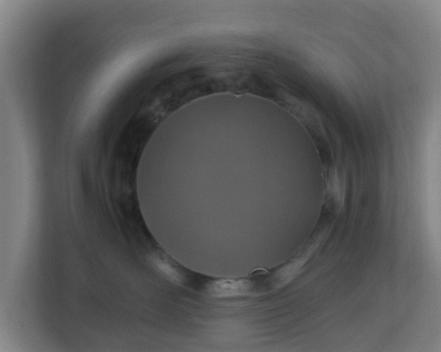 X0000110990526200906261452