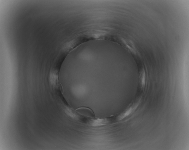 X0000110990527200906261452