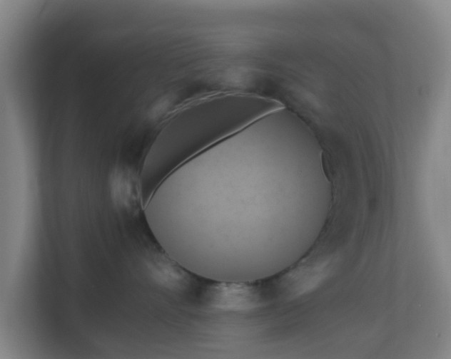 X0000110990528200906261452