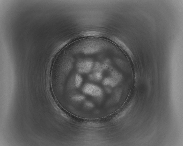 X0000110990529200906261451