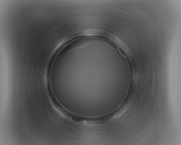 X0000110990530200906261451