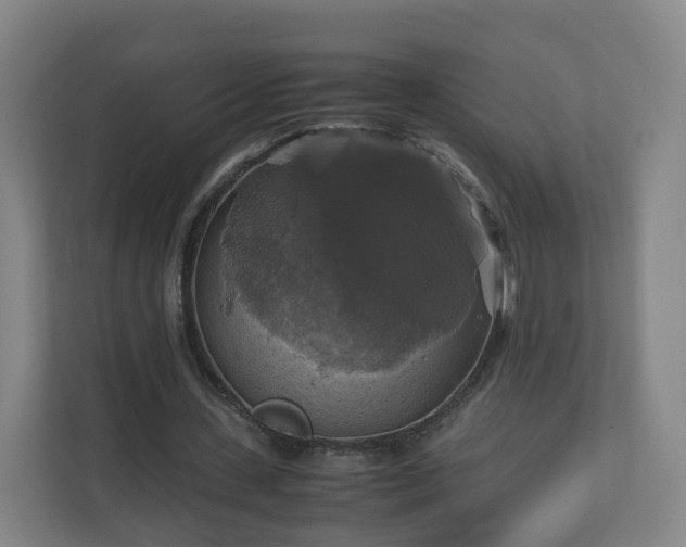 X0000110990531200906261451