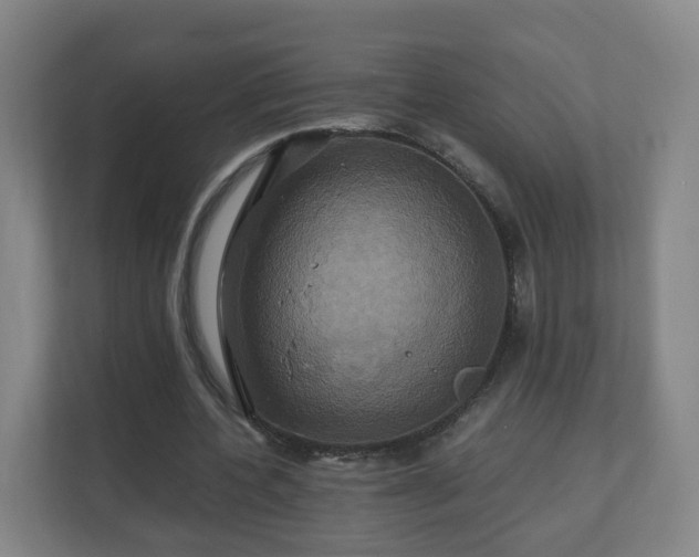 X0000110990532200906261451