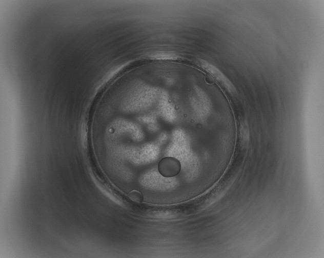 X0000110990533200906261451