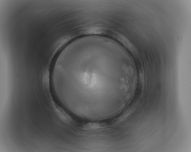 X0000110990534200906261451