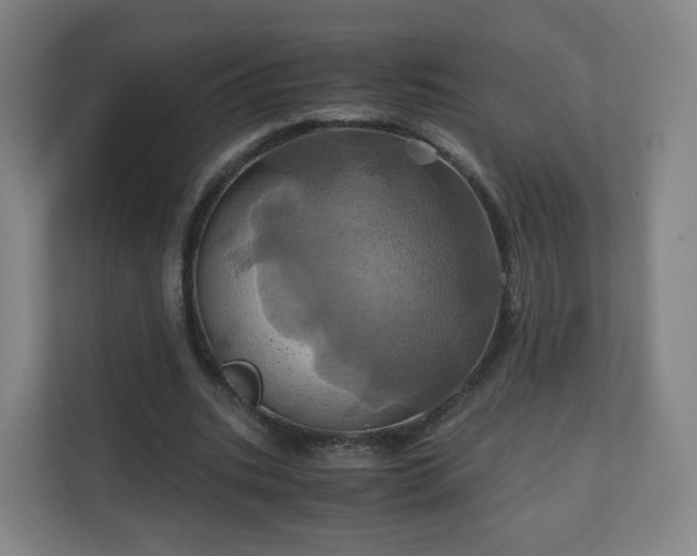 X0000110990535200906261451