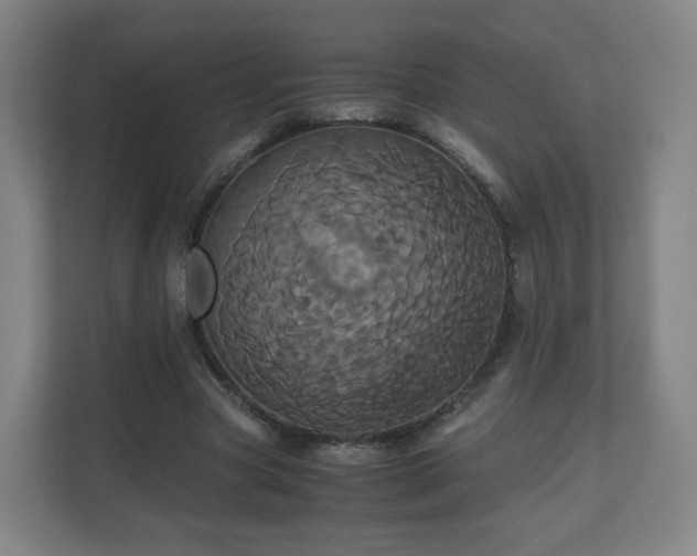 X0000110990537200906261451