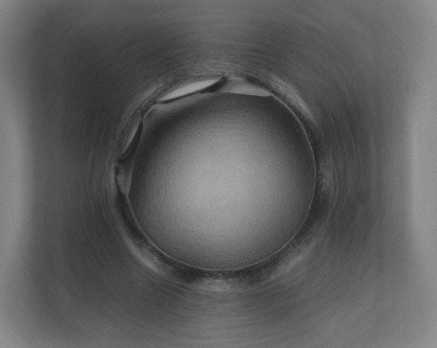 X0000110990538200906261451