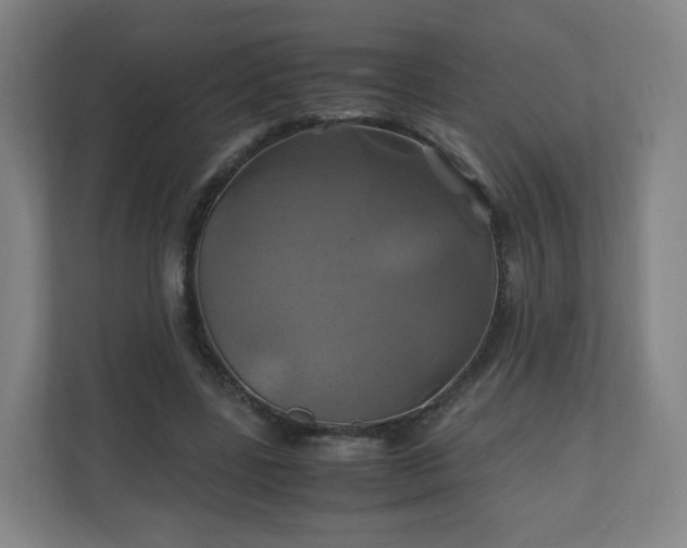 X0000110990539200906261451