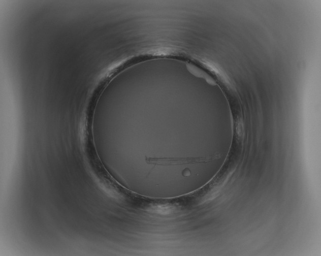 X0000110990540200906261451