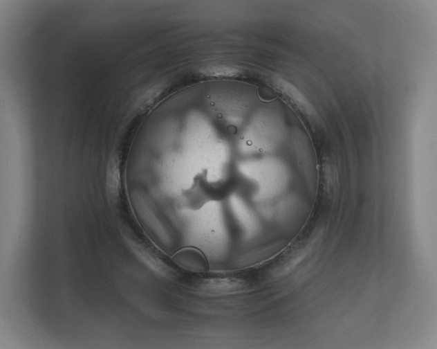 X0000110990541200906261451