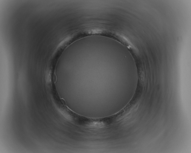 X0000110990543200906261451