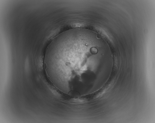 X0000110990545200906261451