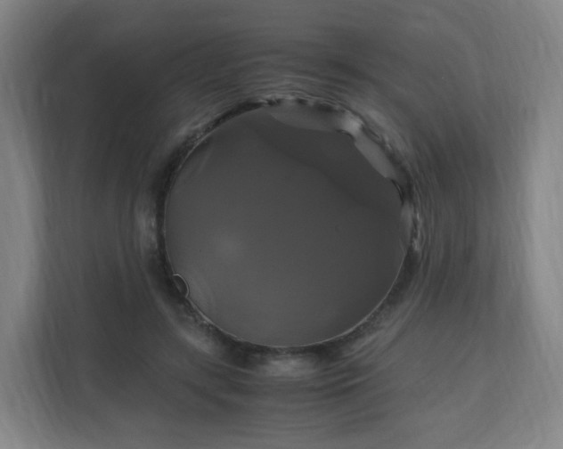 X0000110990547200906261451