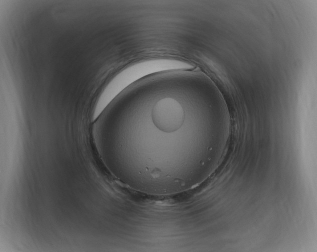 X0000110990548200906261452