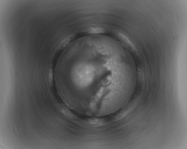 X0000110990549200906261452