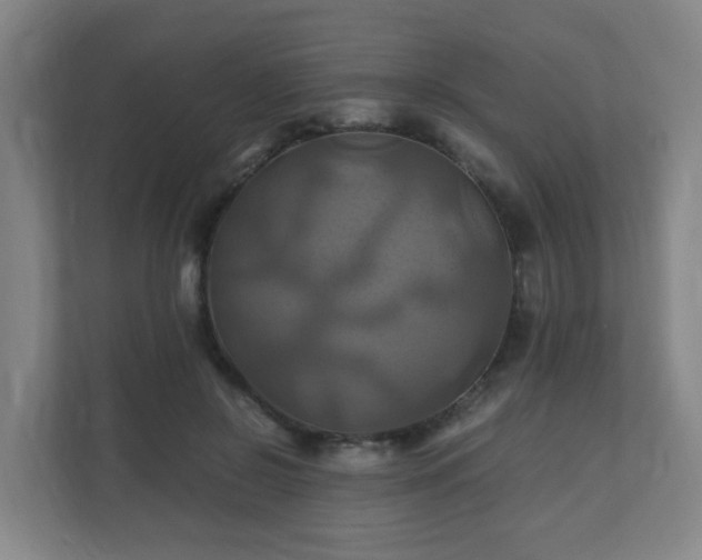 X0000110990550200906261452