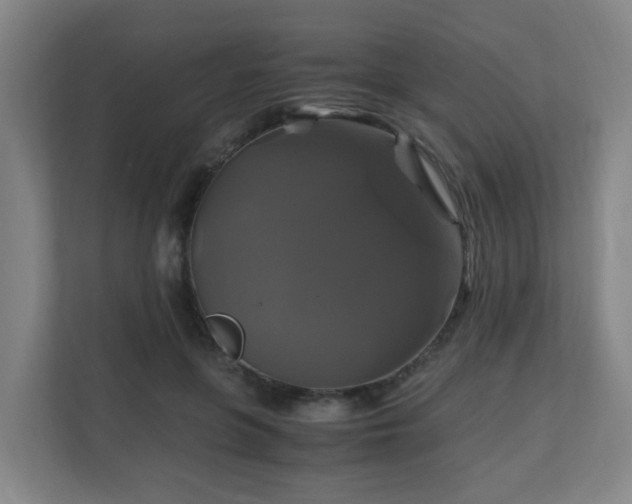 X0000110990551200906261452