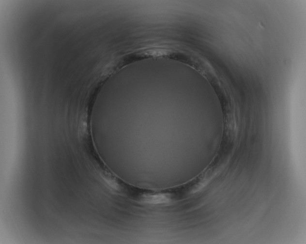 X0000110990553200906261452