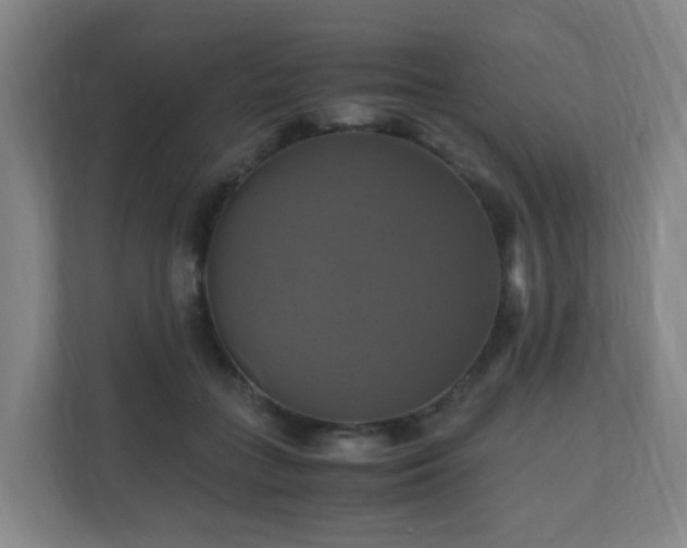 X0000110990555200906261452