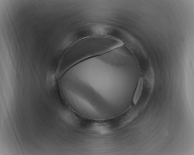X0000110990556200906261452
