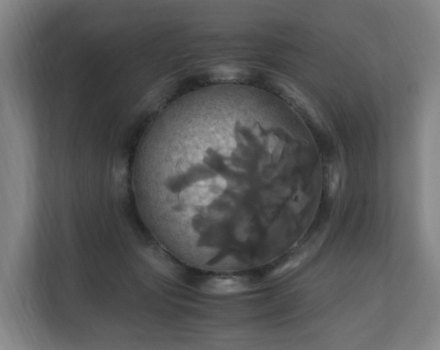 X0000110990557200906261452
